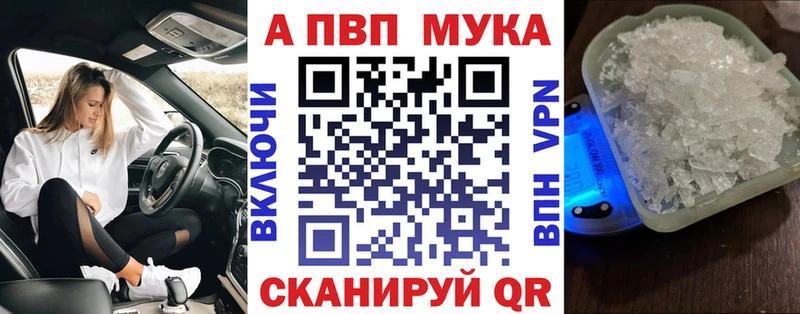 KRAKEN рабочий сайт  Староминская  Альфа ПВП СК 